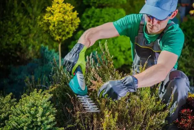 landscaping services Sugarcreek
